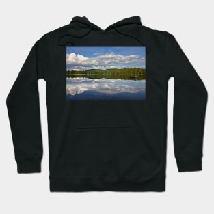 How I Spent my Summer Vacation - Wilson Lake Hoodie